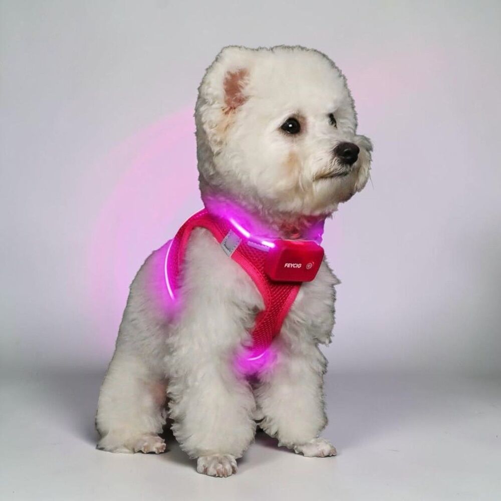 🆕 Feycig LED Light Up Rechargeable Dog Harness in Hot Pink
